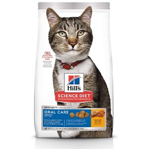 Hill's Science Diet Dry Cat Food, Adult Oral Care, Chicken Recipe: Best Overall